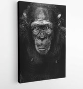 Canvas schilderij - Monochrome photography of a chimpanzee -   605223 - 40-30 Vertical