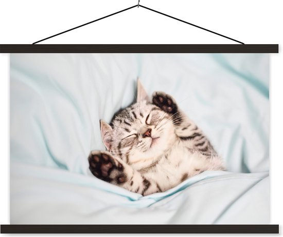 Poster textielposter chaton endormi 120x80 cm