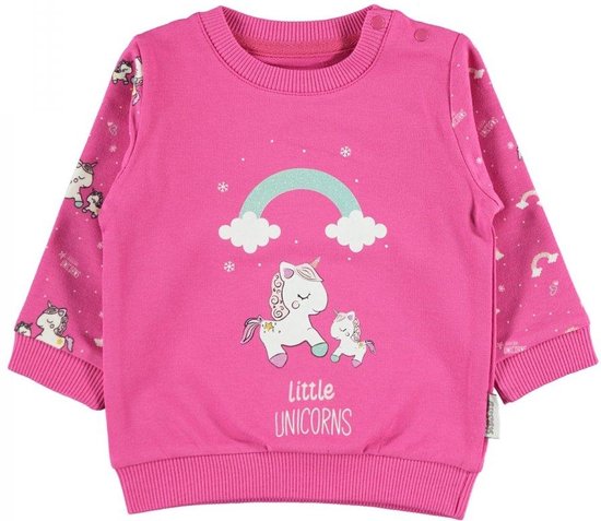 Baby/peuter sweater meisjes - Little unicorns Babykleding