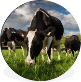 WallCircle - Peinture - Vaches Nature Herbe Et - Multicolore - 90 X 90 Cm