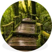 WallCircle - Wandcirkel ⌀ 140 - Mooi regenwoud en jungle - Ronde schilderijen woonkamer - Wandbord rond - Muurdecoratie cirkel - Kamer decoratie binnen - Wanddecoratie muurcirkel - Woonaccessoires