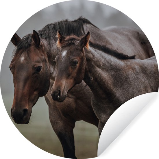 WallCircle - Muurstickers - Behangcirkel - Paarden - Mist - Landschap - ⌀ 140 cm - Muurcirkel - Zelfklevend - Ronde Behangsticker