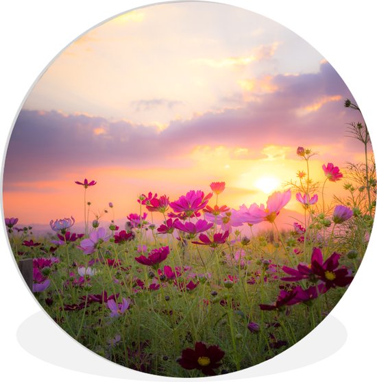 WallCircle - Wandcirkel 60x60 - Zonsondergang - Bloemen - Roze - Natuur - Groen - Ronde schilderijen woonkamer - Wandbord rond - Muurdecoratie cirkel - Kamer decoratie binnen - Wanddecoratie muurcirkel - Woonaccessoires