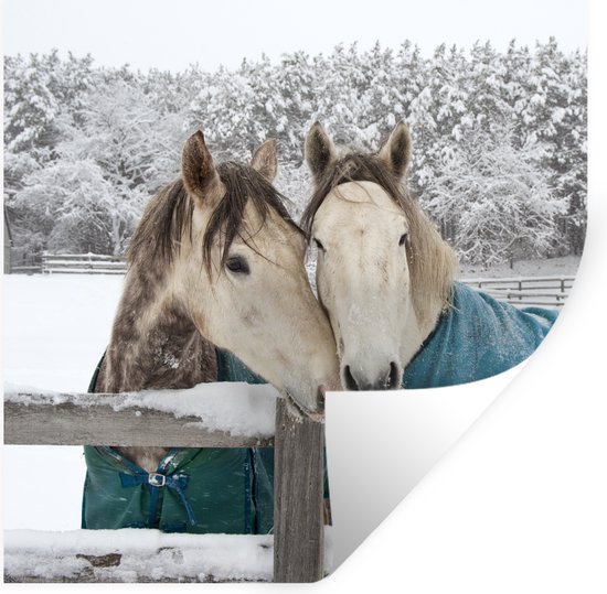 Stickers muraux - Paarden - Couverture - Neige - 50x50 cm - Film adhésif