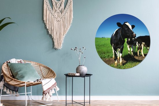 WallCircle - Cercle Mural - Cercle Mural - Vaches - Herbe - Animaux - Aluminium - Dibond - 90x90 cm - Intérieur et Extérieur