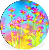WallCircle - Cercle mural - Cercle mural - Fleurs - Art - Psychédélique - Aluminium - Dibond - 140x140 cm - Intérieur et Extérieur