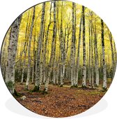 WallCircle - Wall Circle - Wall Circle - Forêt - Arbres - Jaune - Aluminium - Dibond - 30x30 cm - Intérieur et Extérieur