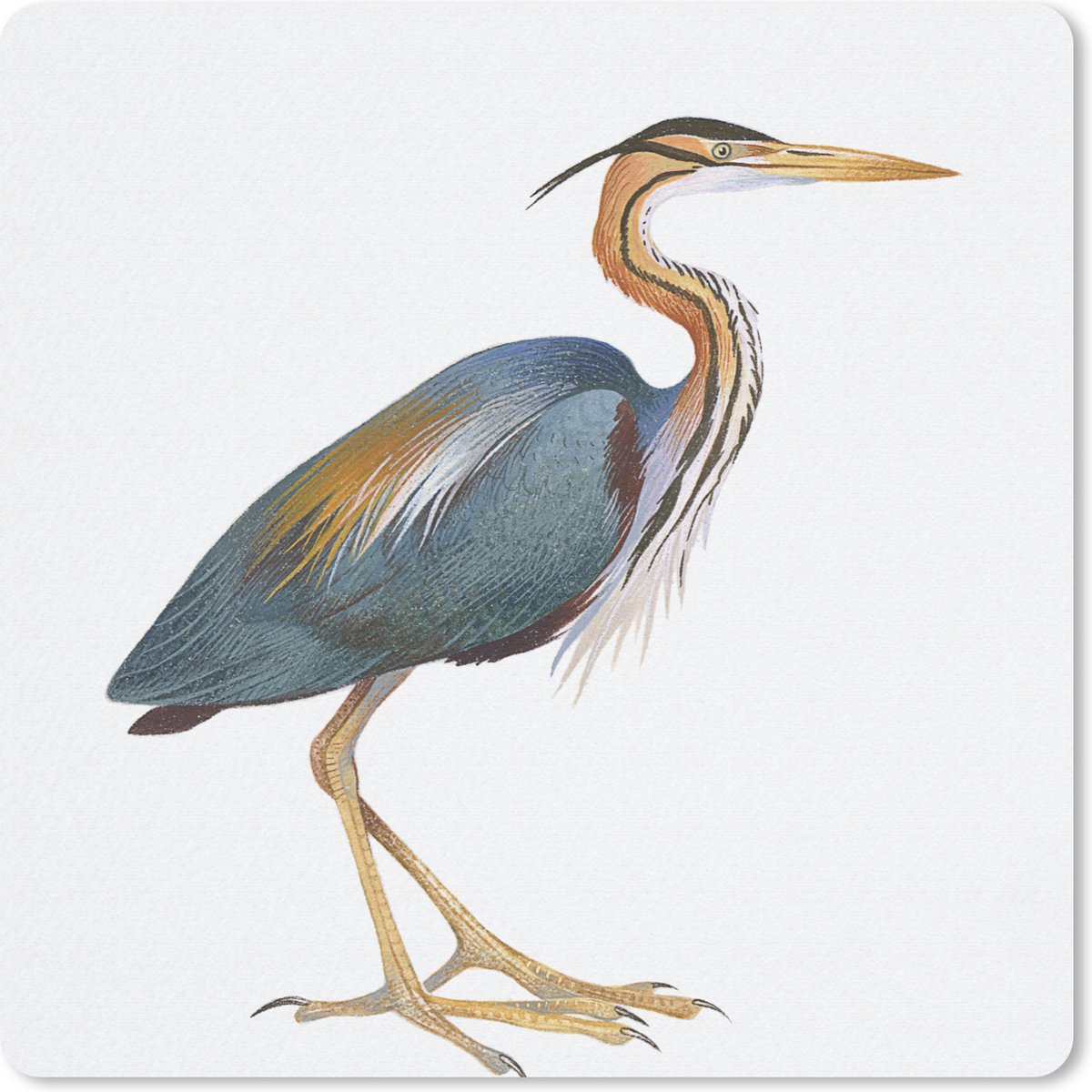 Muismat 30x30 cm - Mousepad Vogel - Veren - Waterverf - Muismatten