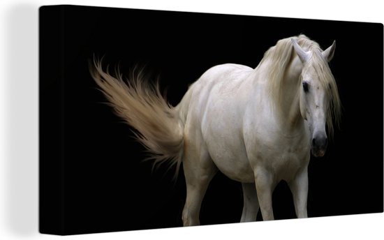 Toile Peinture Paarden - Animaux de la ferme - Zwart - 80x40 cm - Décoration murale