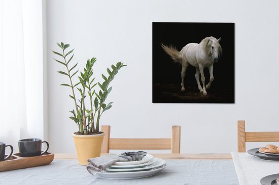 Cheval Wit devant une toile fond noir 2cm 50x50 cm - impression photo sur toile peinture Décoration murale salon / chambre à coucher) / Animaux sauvages Peintures Toile