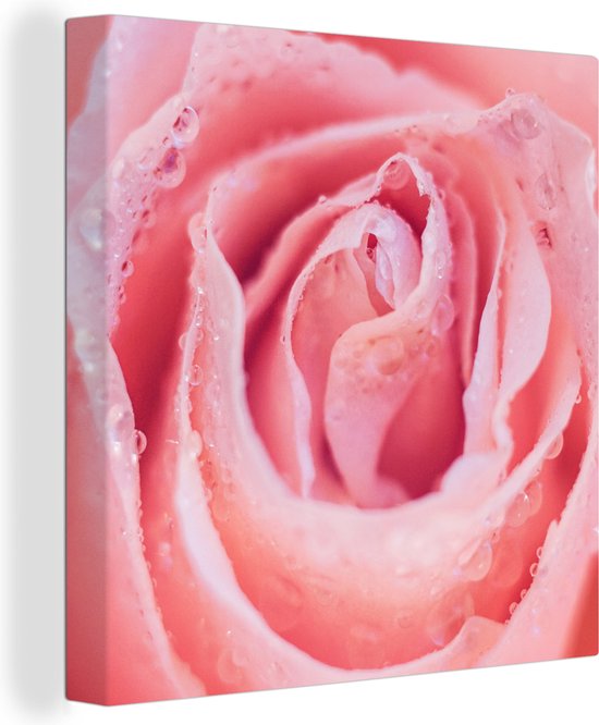 Tableau sur toile Rosée du matin sur les pétales de rose rose - 50x50 cm - Décoration murale Art