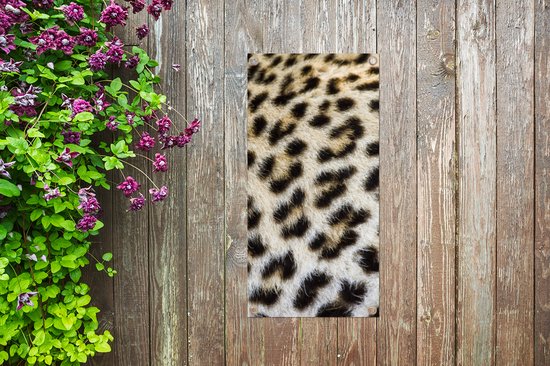 Poster de jardin Léopard fourrure gros plan - 30x60 cm - Toile jardin - Poster extérieur