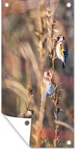 Tuinposter Vogels - Takken - Bos - 30x60 cm - Tuindoek - Buitenposter