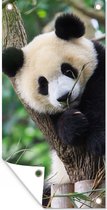 Schuttingposter Panda - Dieren - Jungle - Natuur - 100x200 cm - Tuindoek