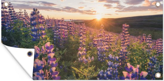 Wanddecoratie buiten Lupine - Zon - Paars - 160x80 cm - Tuindoek - Buitenposter