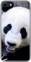 Geschikt voor iPhone SE 2020 hoesje - Panda - Dier - Bladeren - Siliconen Telefoonhoesje