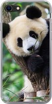 Geschikt voor iPhone SE 2020 hoesje - Panda - Dieren - Jungle - Natuur - Siliconen Telefoonhoesje