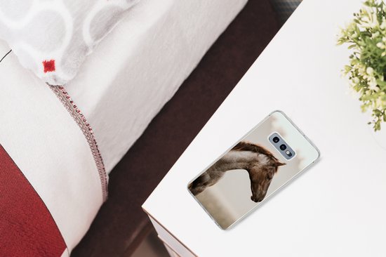 Coque Samsung Galaxy S10e - Cheval - Brume - Nature - Siliconen