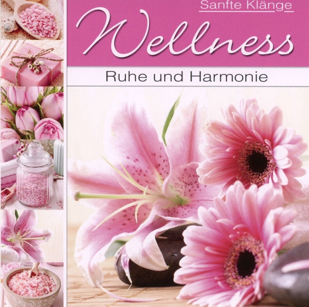 Various Artists - Welness - Volkommene Harmonie (CD)