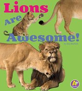 Awesome African Animals! - Lions Are Awesome!