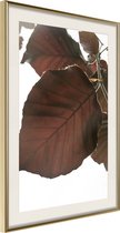 Poster Burgundy Tilia Leaf 40x60