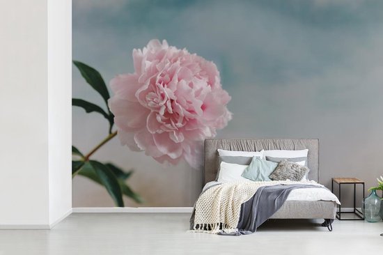 Papier peint photo vinyle - Une fleur rose et botanique avec un ciel coloré largeur 330 cm x hauteur 220 cm - Tirage photo sur papier peint (disponible en 7 tailles)