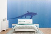 Fond d' écran - Papier peint photo - requin Alopias - Largeur 295 cm x hauteur 220 cm