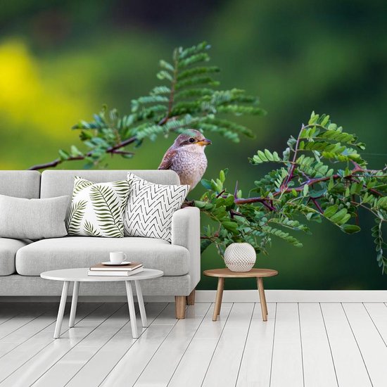 Vogel sur une branche dans la forêt 400x300 cm