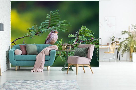 Vogel sur une branche dans la forêt 400x300 cm