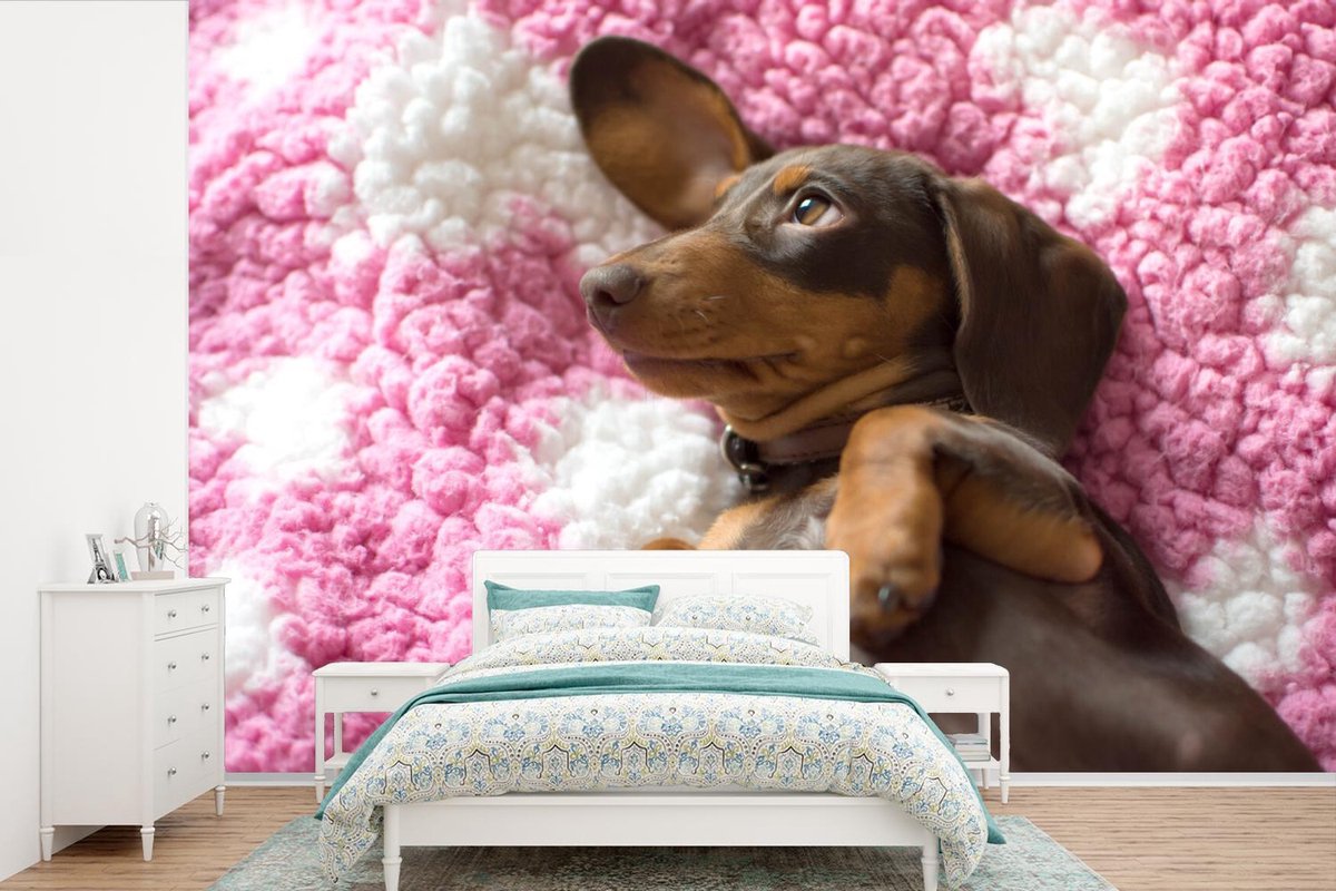 Behang - Fotobehang Een Teckel puppy op een roze deken - Breedte 525 cm x hoogte 350 cm