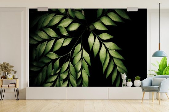 Papier peint photo vinyle - Les branches d'une fougère sur fond noir largeur 330 cm x hauteur 220 cm - Tirage photo sur papier peint (disponible en 7 tailles)