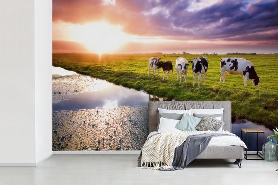 Behang - Fotobehang Koeien tijdens een zonsondergang - Breedte 420 cm x hoogte 280 cm