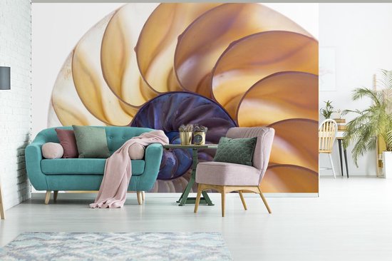 Coupe transversale de la fotobehang de coquille de nautile