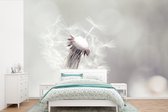 Behang - Fotobehang Witte paardenbloem met zaden op lichte achtergrond - Breedte 390 cm x hoogte 260 cm