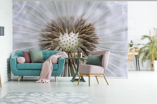 Papier peint photo peint vinyle - Il manque quelques graines de pissenlit largeur 525 cm x hauteur 350 cm - Tirage photo sur papier peint (disponible en 7 tailles)