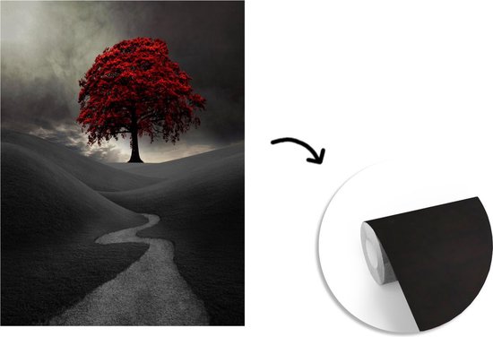 Papier peint vinyle - Une photo noir et blanc avec un grand arbre rouge largeur 190 cm x hauteur 260 cm - Tirage photo sur papier peint (disponible en 7 tailles)