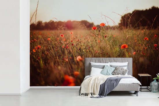 Papier peint photo vinyle - Champ d'herbes hautes et coquelicots au coucher du soleil largeur 600 cm x hauteur 400 cm - Tirage photo sur papier peint (disponible en 7 tailles)