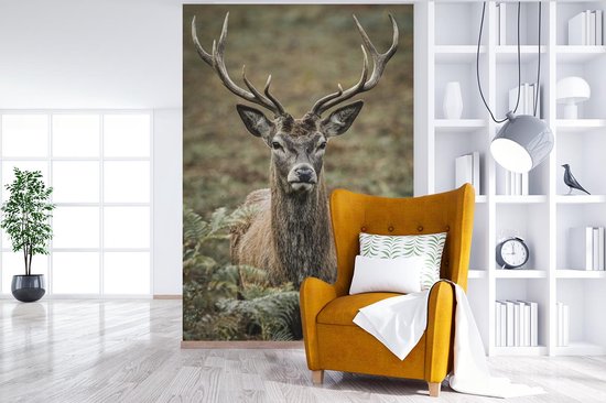 Papier peint - Papiers Papier peint photo Cerf - Bois - Feuilles - Largeur 160 cm x Hauteur 240 cm
