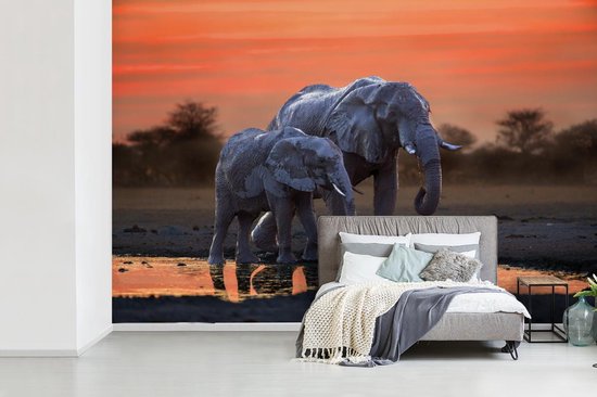 Behang - Fotobehang Twee olifanten bij zonsondergang - Breedte 330 cm x hoogte 220 cm