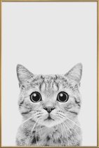 JUNIQE - Poster met kunststof lijst Kitten Classic -40x60 /Wit & Zwart