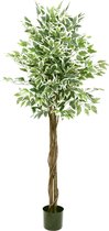 Ficus Kunstboom 150cm | Ficus Kunstboom met stam | Ficus Kunstboom voor Binnen | Ficus Kunstboom Groen met stam