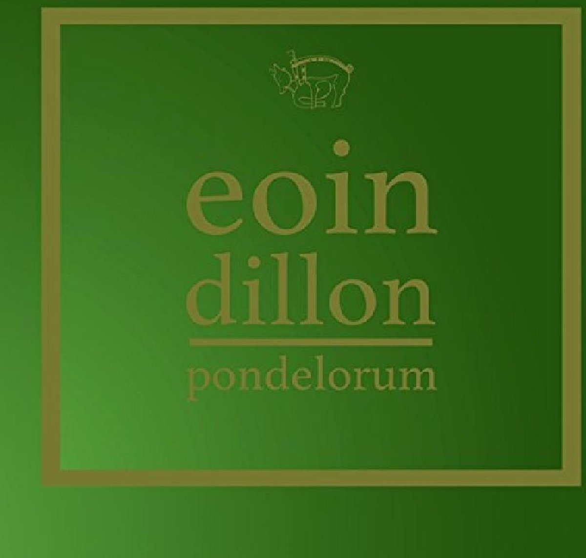 Eoin Dillon Pondelorum (CD), Eoin Dillon CD (album) Muziek