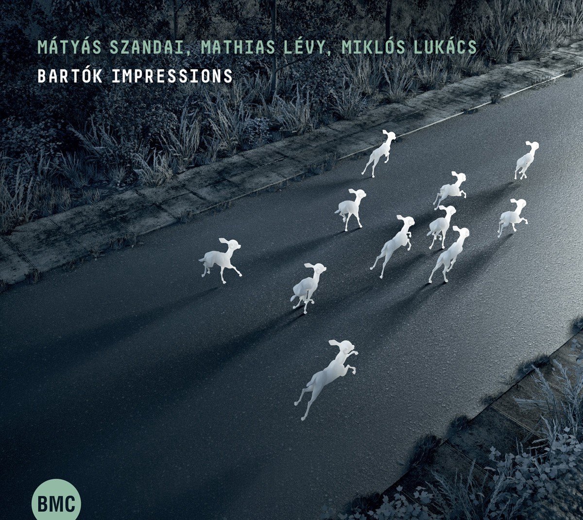 Mátyás Szandai, Mathias Lévy, Miklós Lukács - Bartók Impressions (CD)