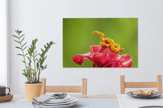 Petit serpent jaune fleur rouge 90x60 cm - impression photo sur toile peinture (Décoration murale salon / chambre à coucher) / Animaux sauvages Peintures Toile