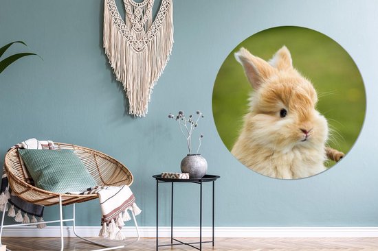 WallCircle - Wall Circle - Wall Circle Indoor - Lapin - Bébé - Seau - 140x140 cm - Décoration murale - Peintures Ronds