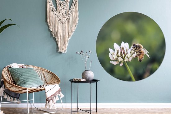 WallCircle - Wandcirkel - Muurcirkel - Bij - Insecten - Bloem - Aluminium - Dibond - ⌀ 120 cm - Binnen en Buiten XXL