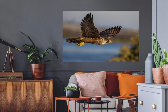 Stickers muraux - Film autocollant - Faucon pèlerin - Vol - Oiseaux de proie - 120x80 cm - Film adhésif - Stickers muraux chambre enfant - Papier peint autocollant - Papier peint autocollant - Film autocollant