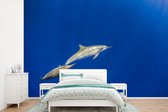 Fond d' écran - Papier peint photo - Natation Dauphins Image Sous - Marine - Largeur 330 cm x Hauteur 220 cm