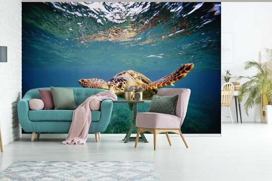 Behang - Fotobehang Schildpad - Water - Blauw - Breedte 525 cm x hoogte 350 cm