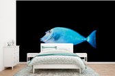 Behang - Fotobehang Vis - Zeedieren - Zwart - Breedte 320 cm x hoogte 240 cm